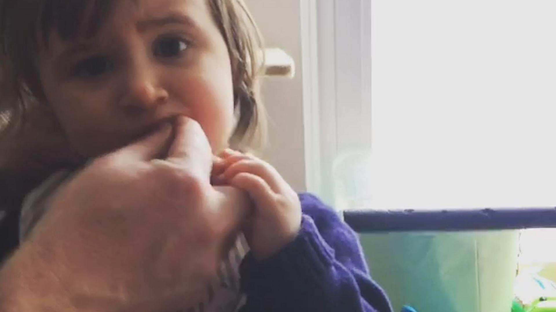 Cat Food Taste Test Poke My Heart