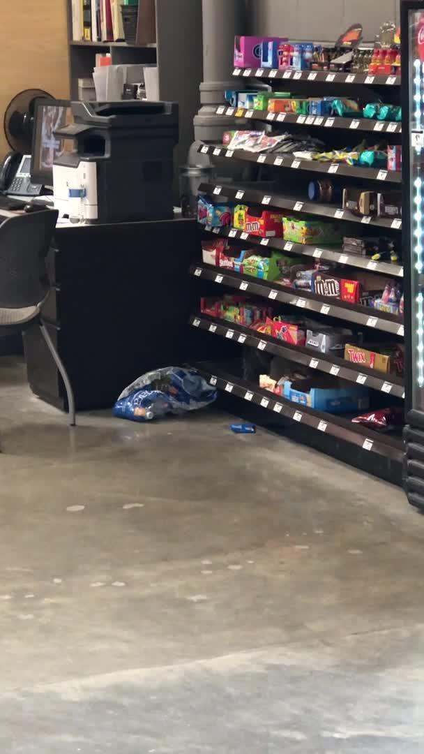 Squirrel Steals Candy Bar from Hardware Store Poke My Heart